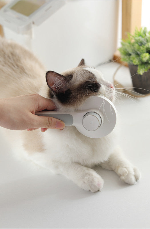 Pet Massage Comb