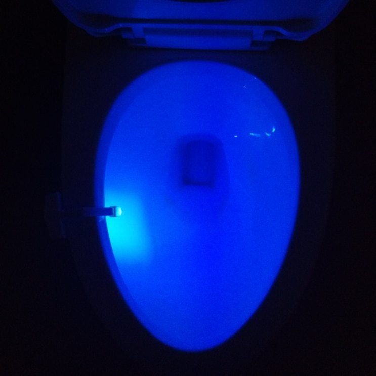 Toilet Induction LED Multi-Color Night Light